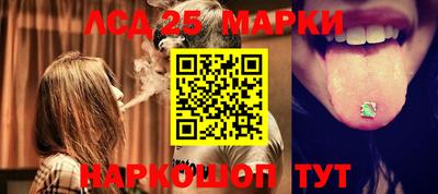 гидропоника Тула