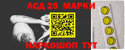гидропоника Тула