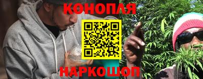 гидропоника Тула