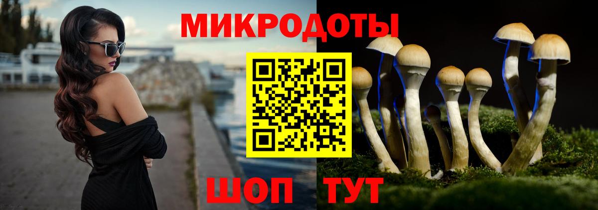 Псилоцибиновые грибы Cubensis  купить закладку  Псилоцибиновые грибы мицелий  Отрадное  Вход с VPN 